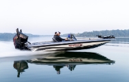 Phoenix for sale in Lexington & Winston Salem, NC and Hardy, VA